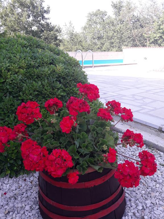 Apartments Angela Zbandaj ภายนอก รูปภาพ